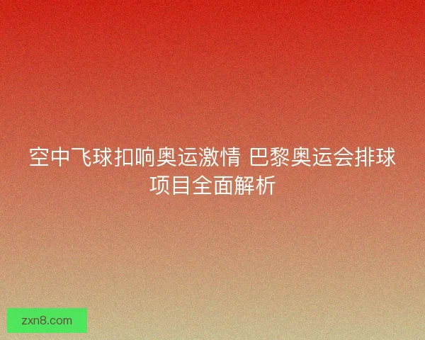 空中飞球扣响奥运激情 巴黎奥运会排球项目全面解析